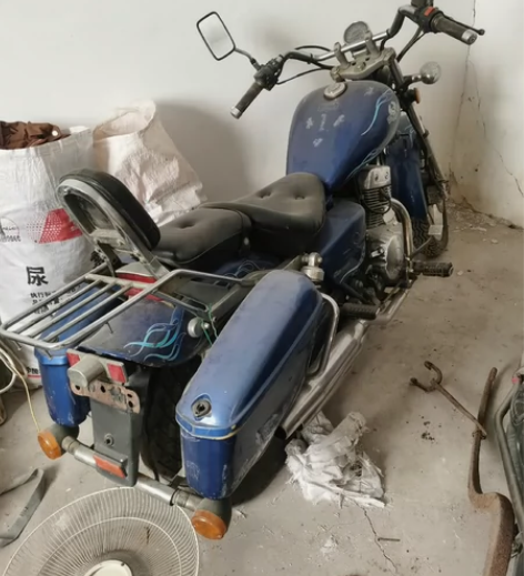 大地鹰王双缸125太子，雅马哈凌鹰125踏...