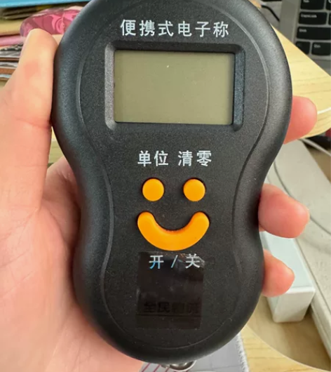 亏本清仓手提秤便携称电子秤电子称菜市场称重...