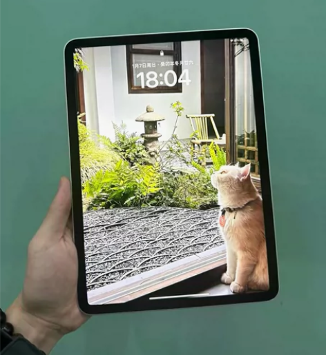 iPad2020现货原装插卡 10.2英寸...