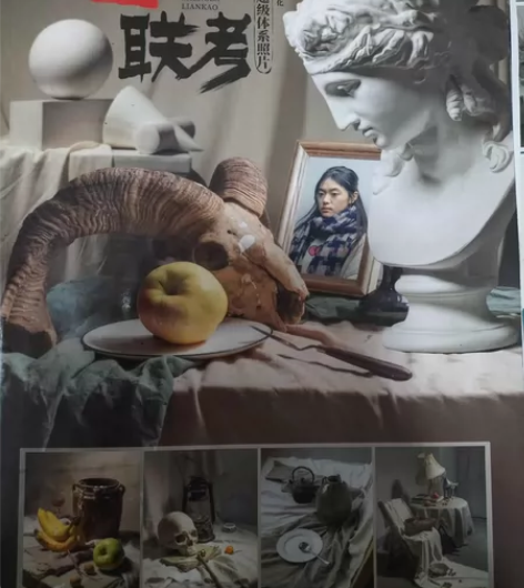 素描照片书，内容超全 单体，静物组合，石膏...