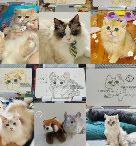 小动物手绘彩铅接稿 视情况20-30一张 ...