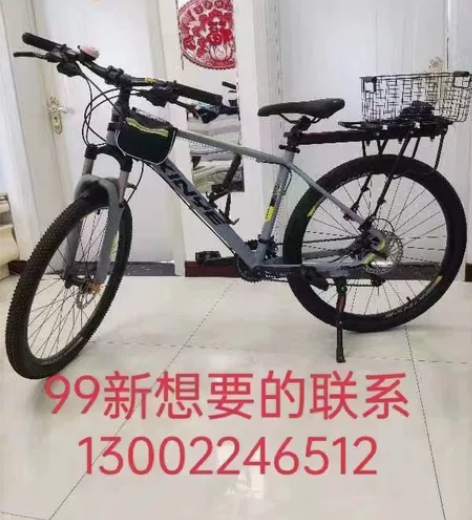 凤凰牌24寸女装自行车，车在鹤山沙坪镇南始...