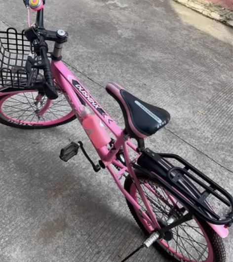 10岁左右孩子骑的20寸自行车，成色好买回...