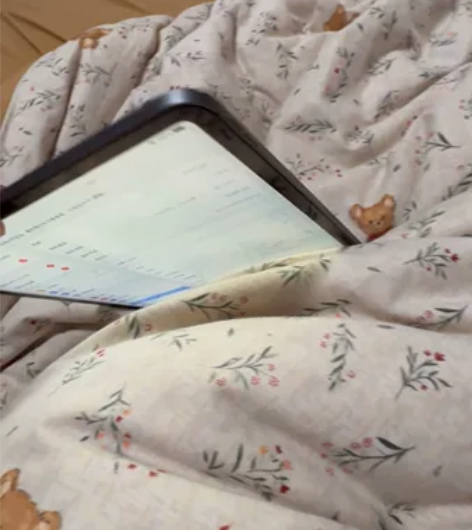 ipad2018pro 64GB 12.9...