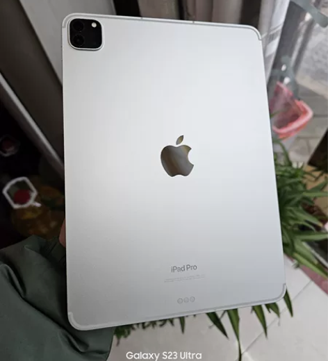 ?iPad Pro 11英寸2022蜂窝版...
