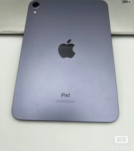 本人真心出自已的ipadmini6平板女大...