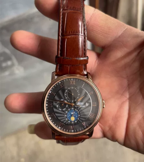 罗宾尼品牌正品男手表男士机械表全自动皮带精...