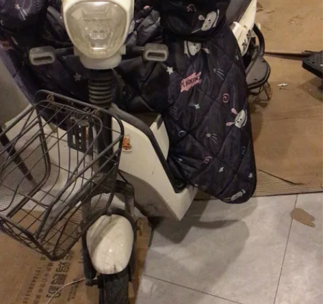 飞鸽电动车，开店时候1000买的代步的，现...