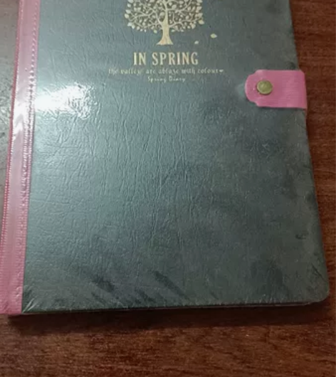 实用好看的本子 春天里拼接皮扣本  全新1...
