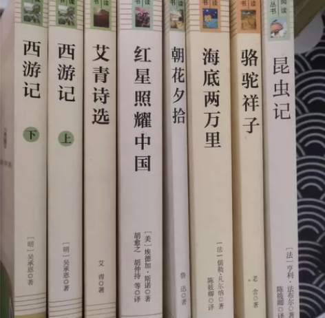 闲置书籍九成新，几乎全新，轻微的有使用痕迹...