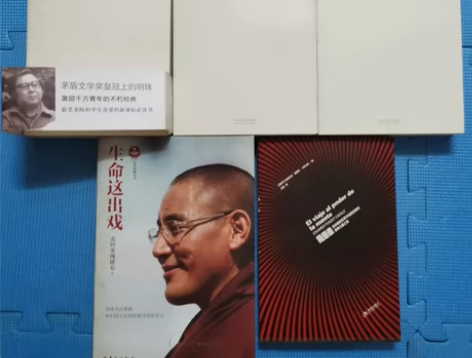 平凡的世界+生命这出戏+我是谁 一共5本打...