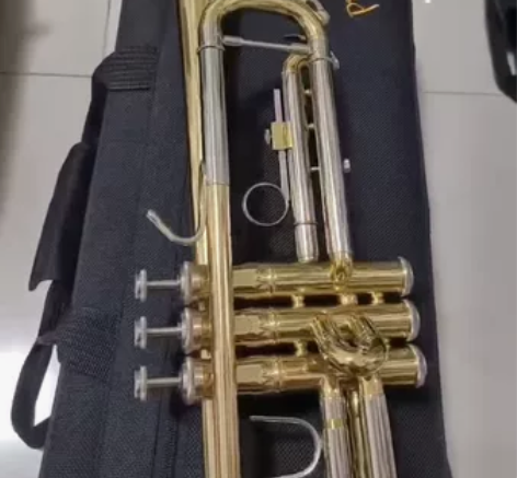 美国巴哈代工厂，全新小号乐器，出口美国巴哈...