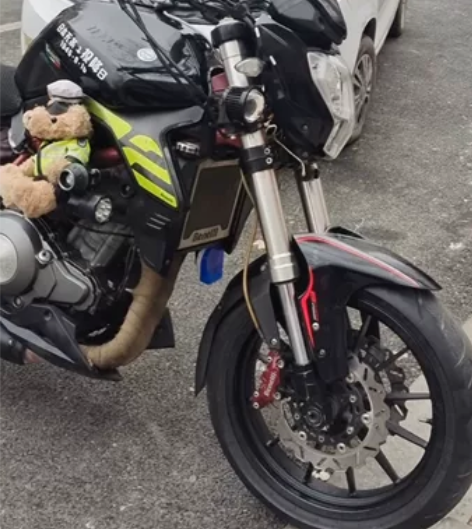 黄龙300，陆地最强龙三，16年，欧版， ...