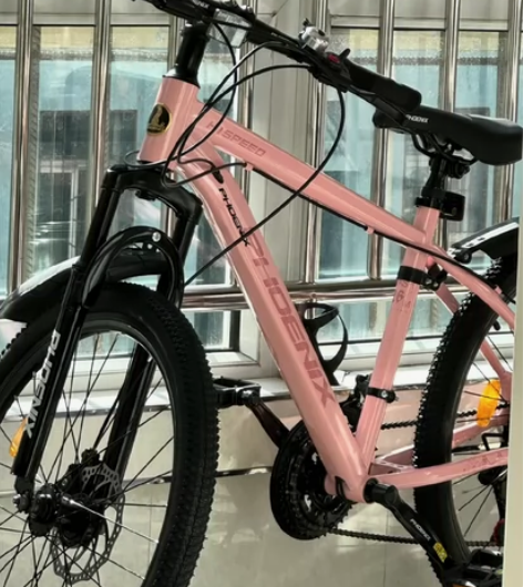 【亏本转让】原价888元凤凰山地车大学生男...