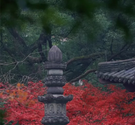 飞来峰门票15元、灵隐寺门票10元。 电子...