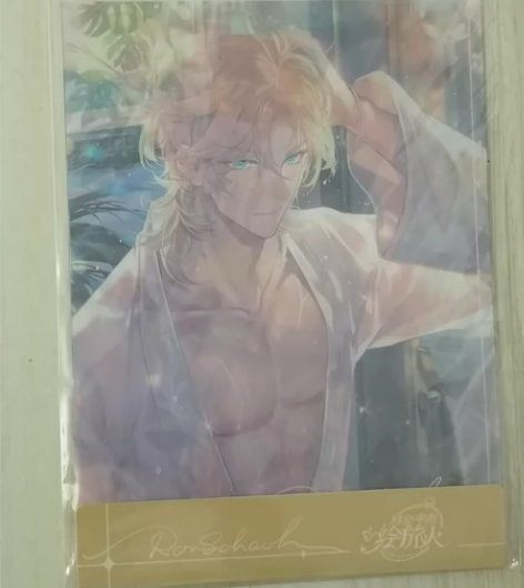 【原价出】时空中的绘旅人罗夏520系列光栅...