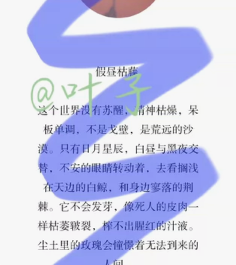 【同人文约稿/文手约稿/约文】〈代亲友挂〉...