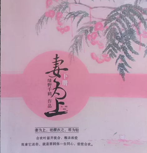 《妻为上》by绿野千鹤 无删减 下册文案如...
