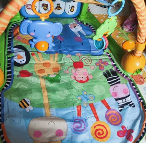 费雪婴儿健身架，功能完好，音乐响，灯光亮。...