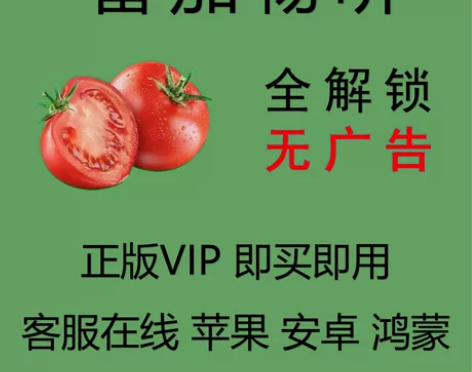 确认好是番茄畅听app再拍，月租账号，即拍...