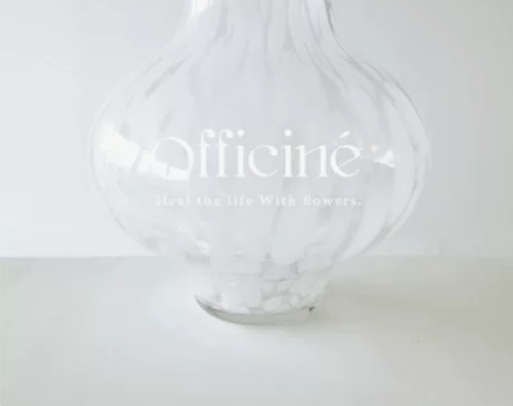 花瓶摆件客厅插花玻璃透明水养高级感水培小众...