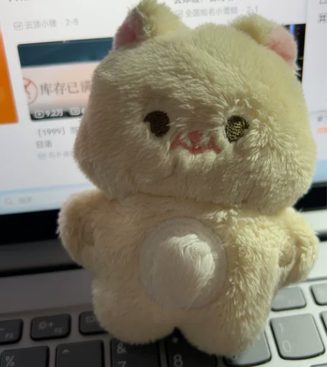 【出】朴志晟娃娃 dreamy星 10cm...