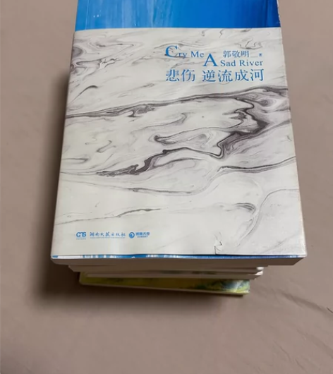 热门青春文学低价出 悲伤逆流成河9r郭敬明...