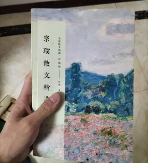 散文一本20，不包，售出不退不换 感兴趣的...