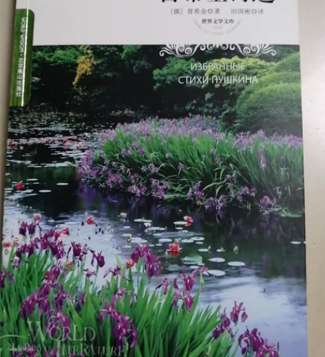 普希金诗选/中学生课外文学名著必读 感兴趣...