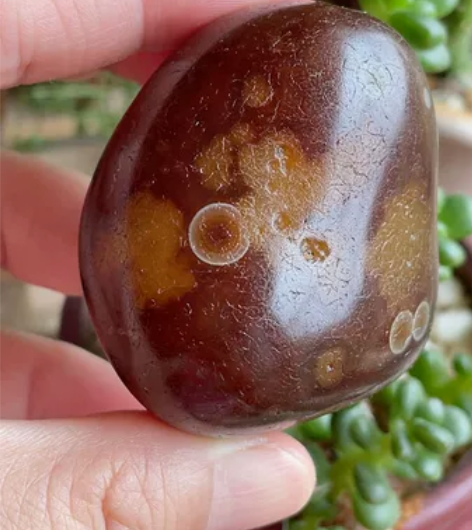 马达加斯加水冲玛瑙原石，整颗玛瑙布满圆眼，...