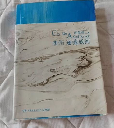 《悲伤逆流成河》郭敬明原著同名电影电视剧易...