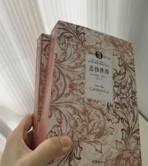经典名著《悲惨世界》正版二手书籍 都是只读...