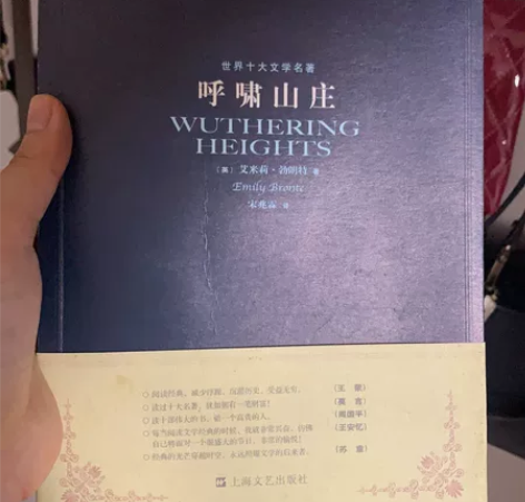 呼啸山庄 开本:16开 译者:宋兆霖 二手...
