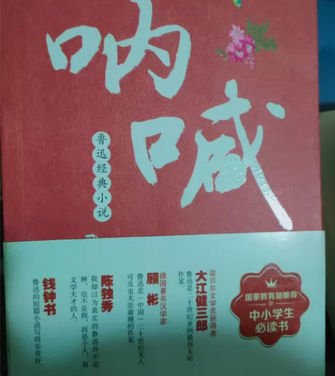 呐喊 高中小学初中读物  名著 感兴趣的话...