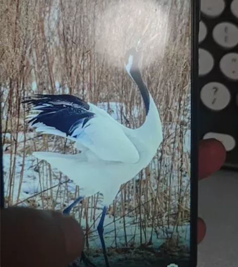 自用的荣耀10x ， 6+128G，成色不...