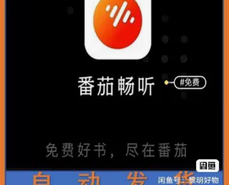 番茄畅听！畅享纯净（不是直充） 去广告打扰...