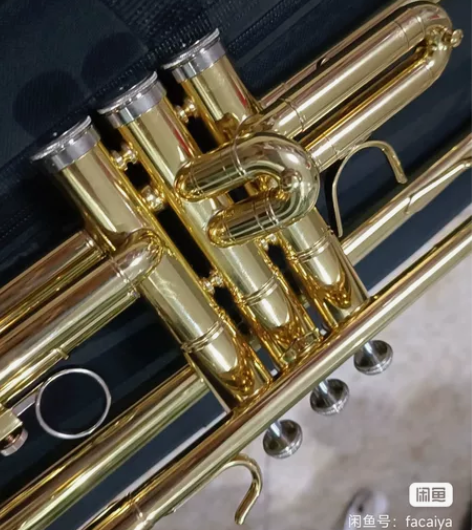 jbtr-300津宝小号,降B调。细节在下...