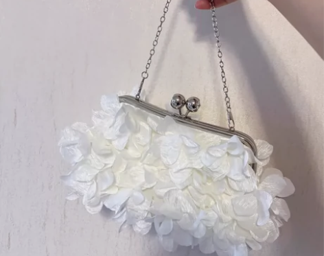 好看的仙女包包 20块钱包邮 里面还有个长...