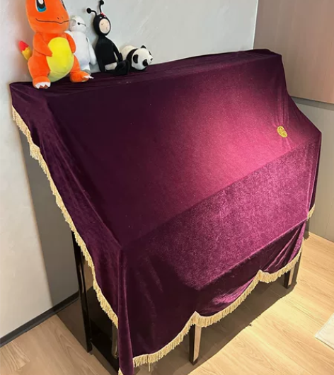 珠江钢琴 里特米勒建国60周年特制演奏版本...