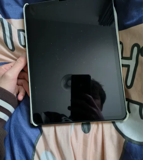 自己用的ipad2021pro11寸256...