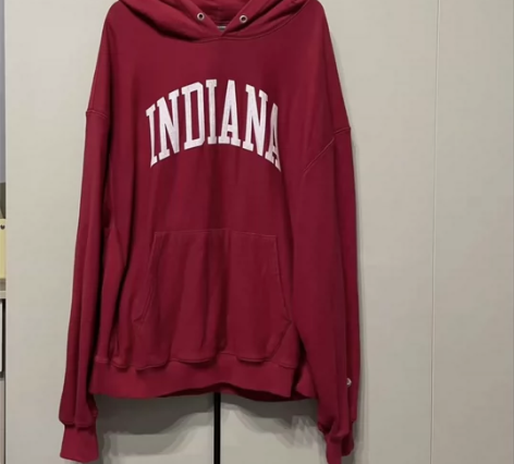 Vintage INDIANA champ...