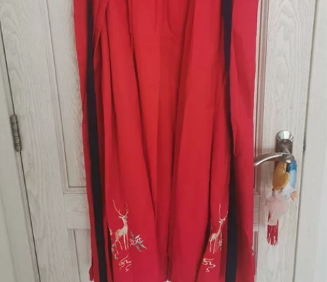 汉服下裙，仅穿过两次，已清洗，有点皱需要熨...