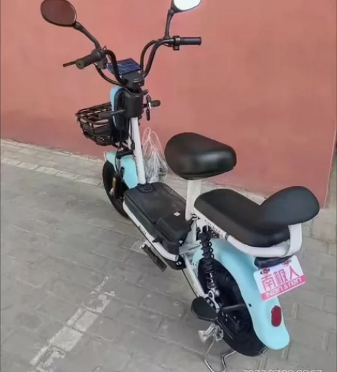 FLYING PIGEON/飞鸽【低价处理...