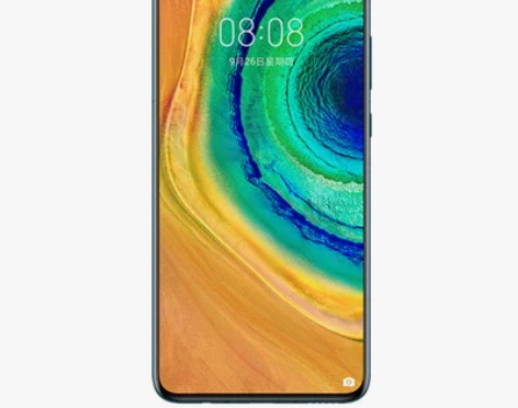 HUAWEI Mate 30（5G） 【机...
