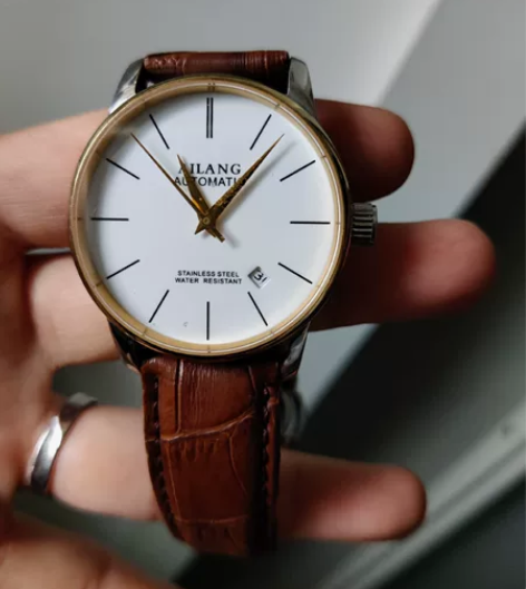 艾浪手表，棕色，AL-2603g，自己戴了...