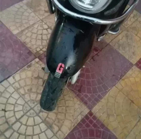 转让一部台铃牌个人自用电动车，大屏液晶显示...