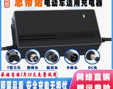 思帝诺电动车充电器48V12AH60V20...