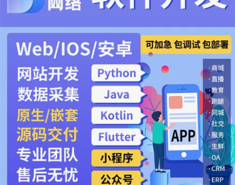 软件开发逆向破解xp模块开发瑞数逆向插件开...