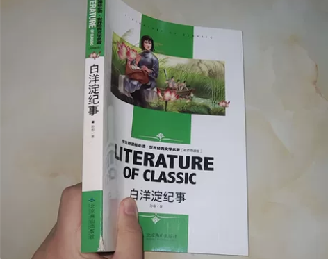 白洋淀纪事 主页满百包邮几乎全新￥10