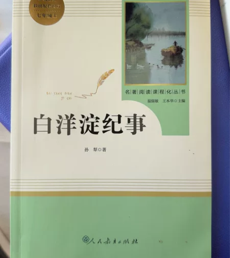 七上配套读物 镜花缘 白洋淀纪事 人教版 ...